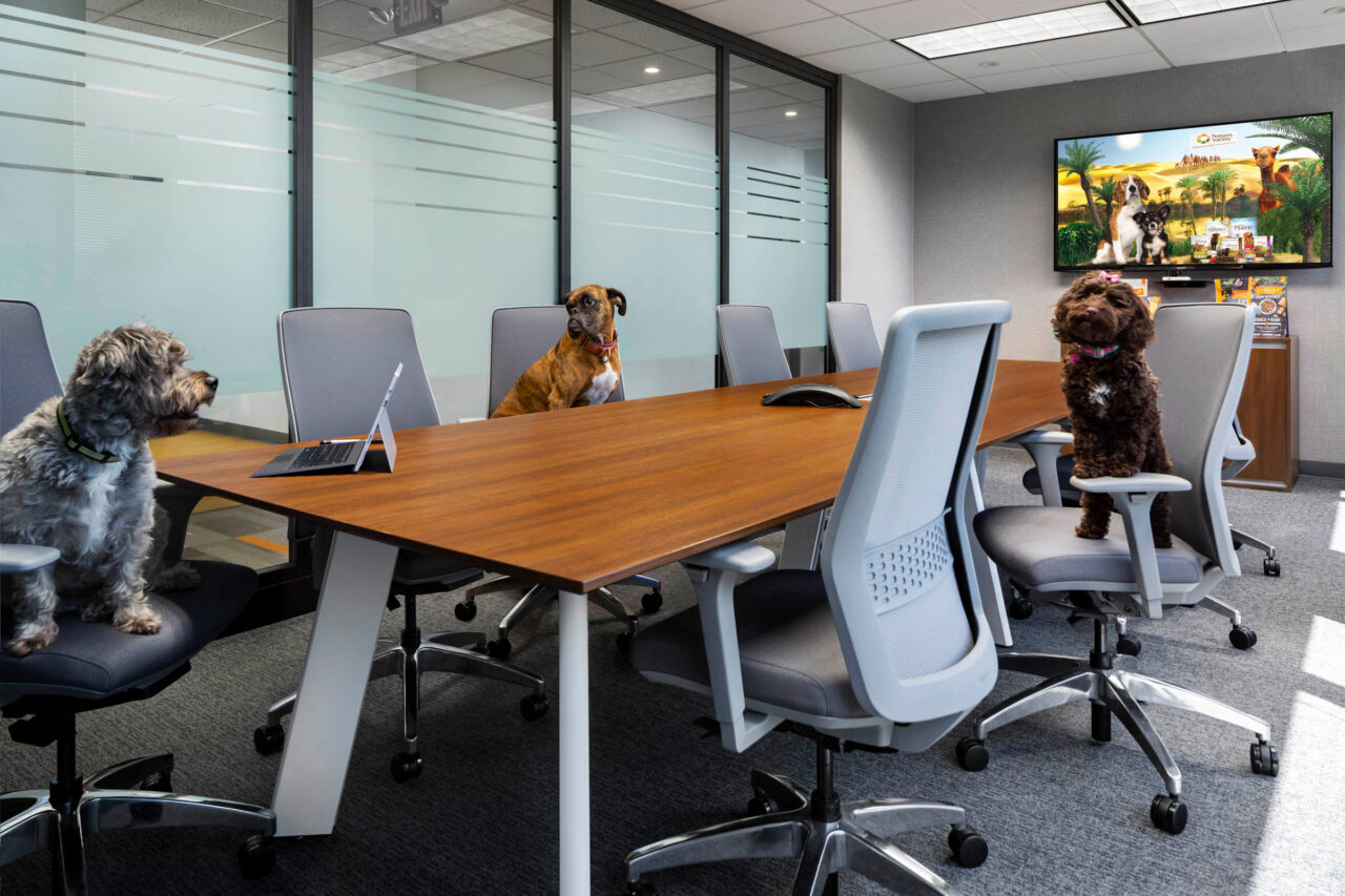 Instinct by Nature’s Variety: A Renovation to Enhance Company Culture