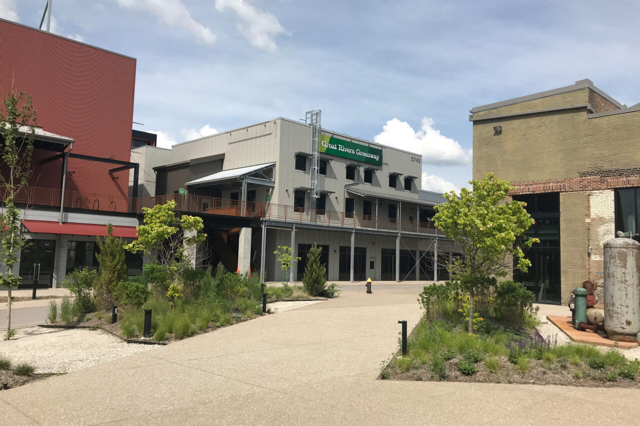 Four Benefits of Sustainable Landscaping: Using Native Plants