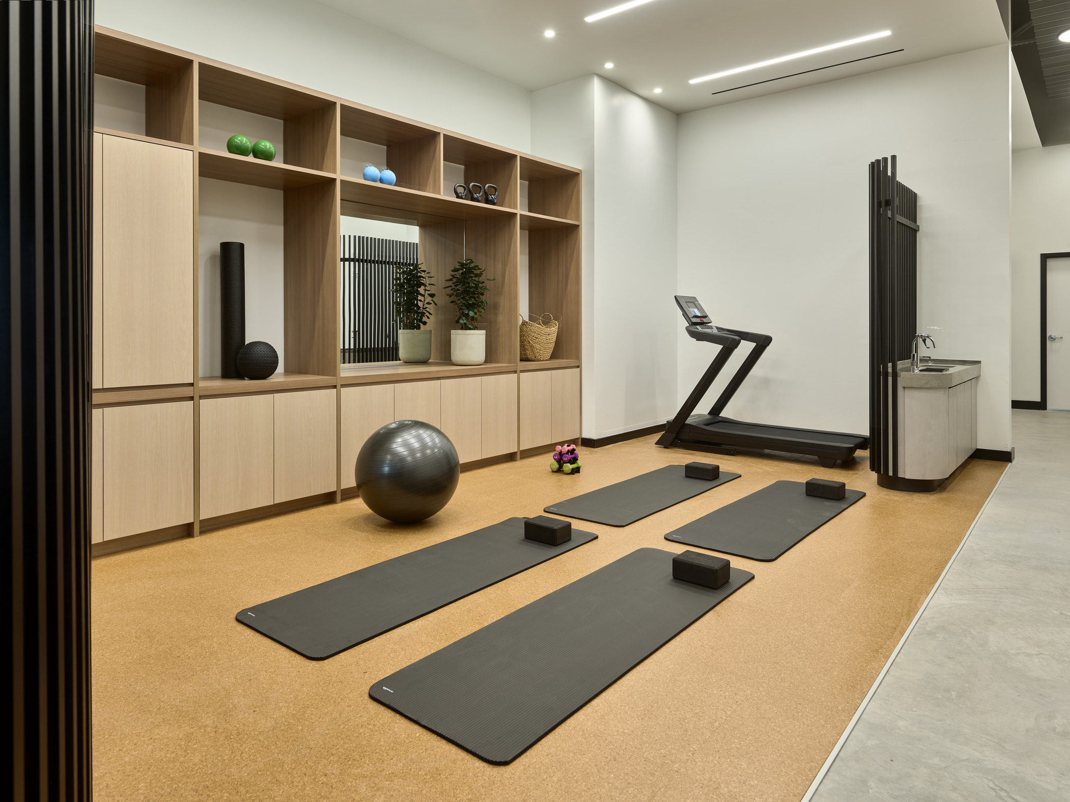 Physical exercise area at Indigo Physiotherapy.