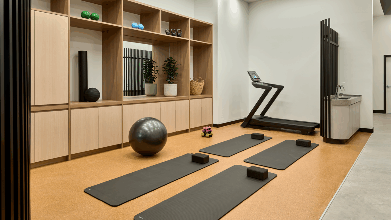 Indigo Physiotherapy