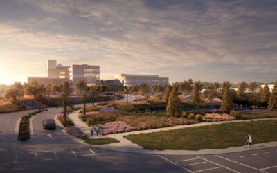 Landscape Architecture Plays Non-Intrusive, Critical Role in Urban Healthcare Security