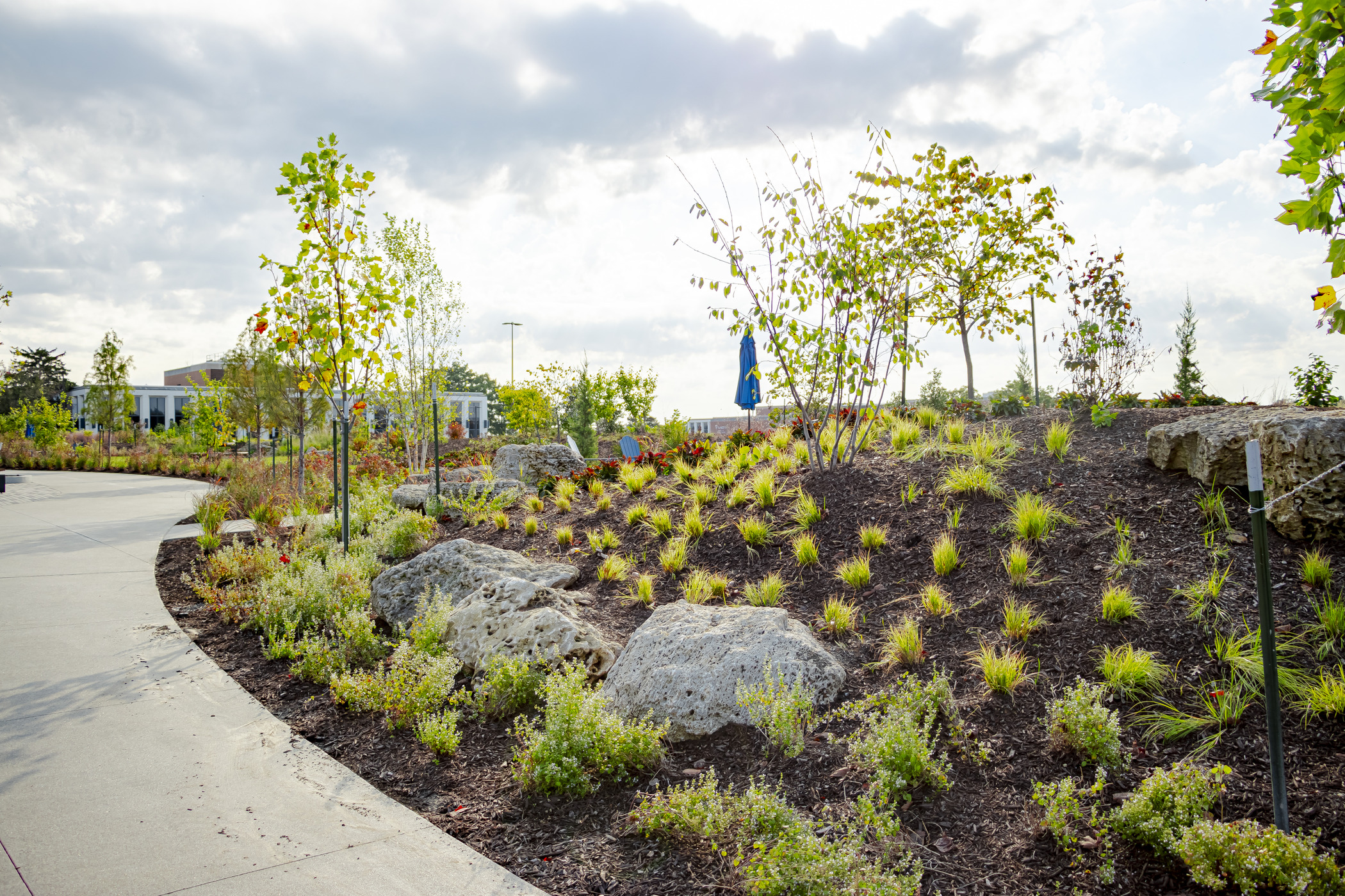 Sloped garden with native grasses, shrubs, and large boulders along a curved walkway at Maritz Campus 1385 Plaza.